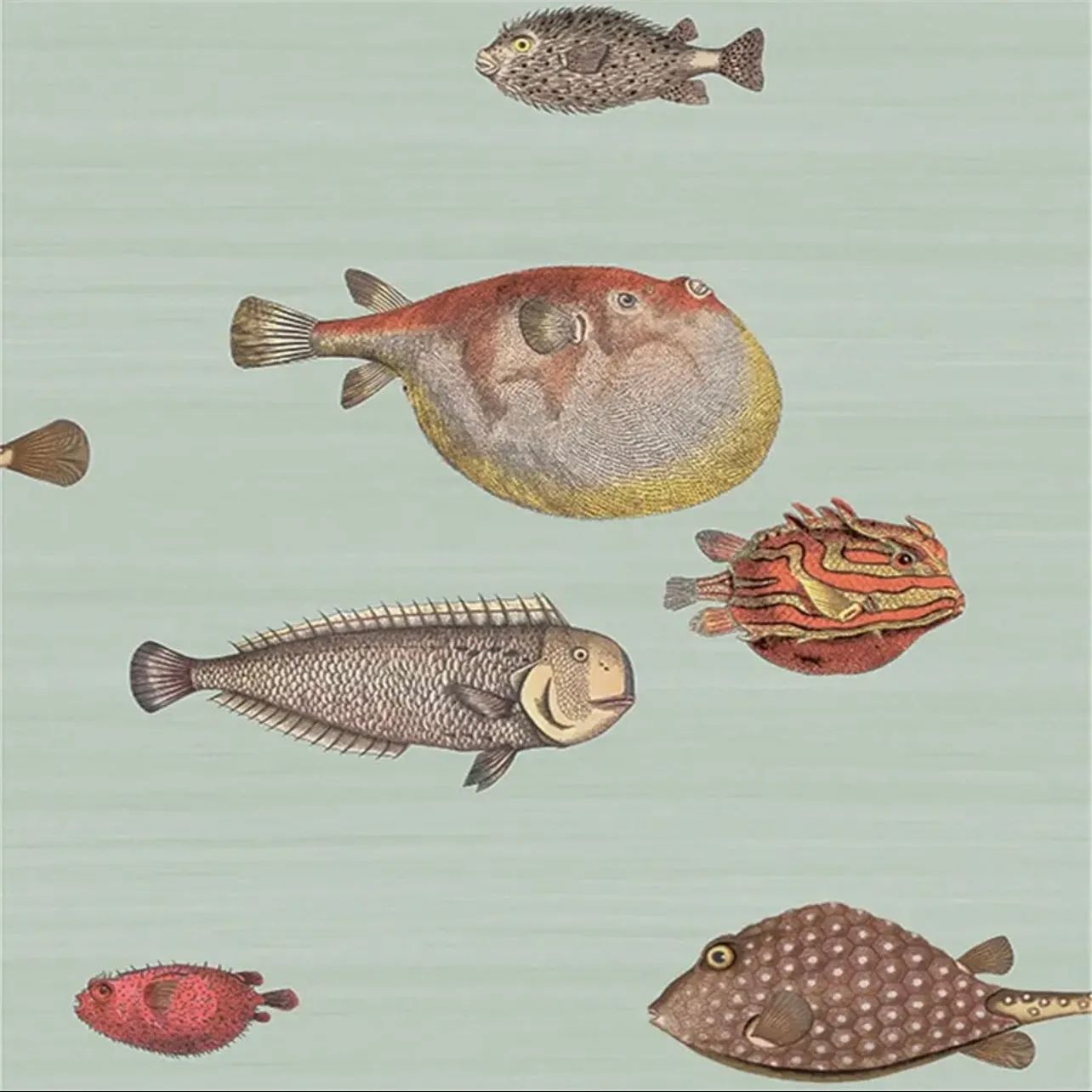 Custom Wallpaper Vintage Ocean Fish Art Mural (㎡)