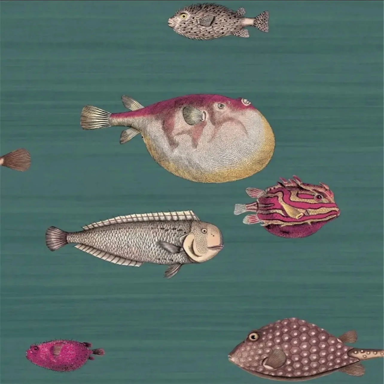 Custom Wallpaper Vintage Ocean Fish Art Mural (㎡)