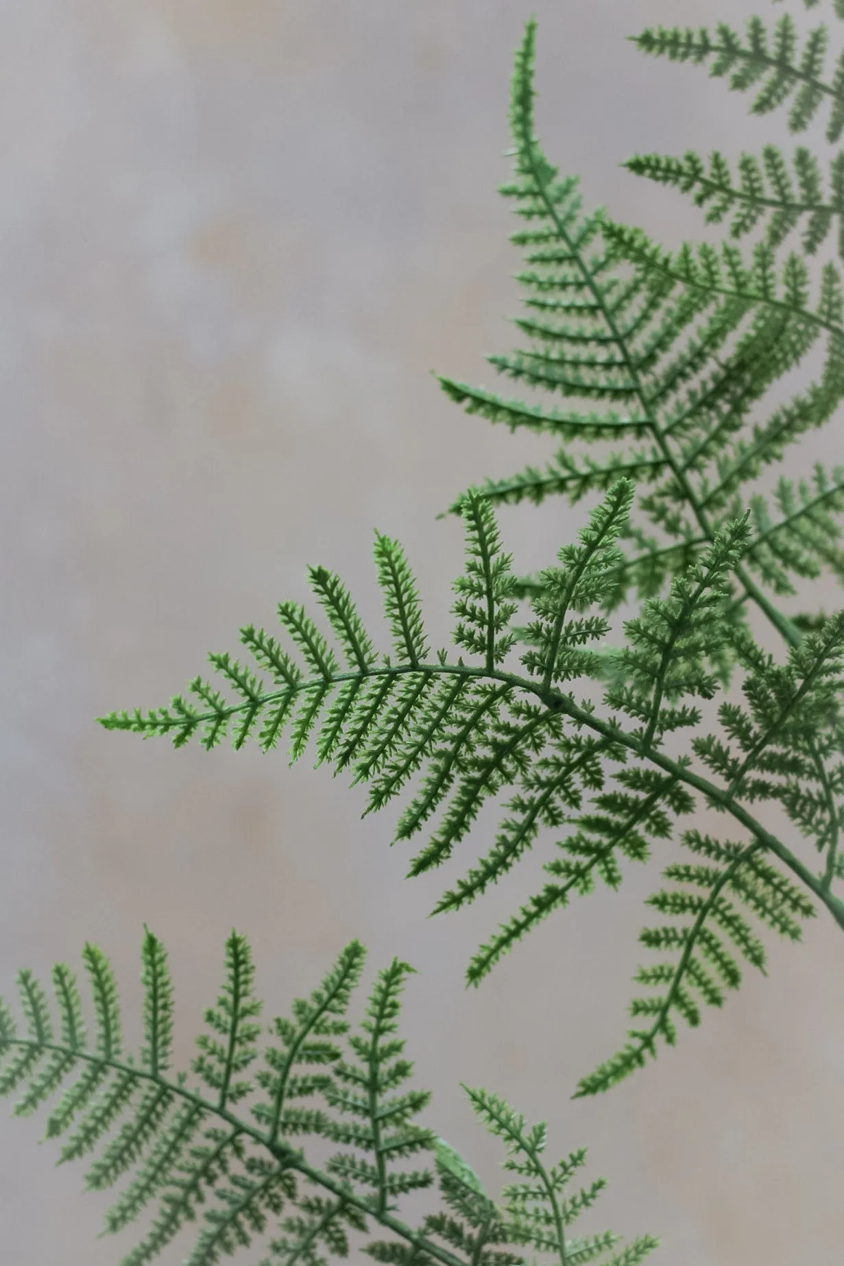 Faux Asparagus Fern Spray