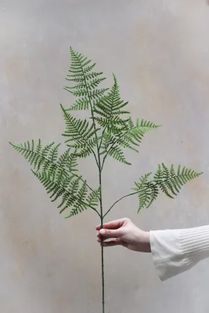 Faux Asparagus Fern Spray